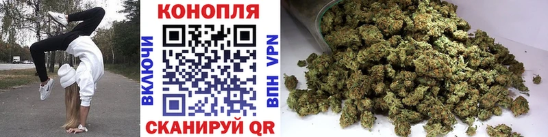 Конопля SATIVA & INDICA  Макаров 